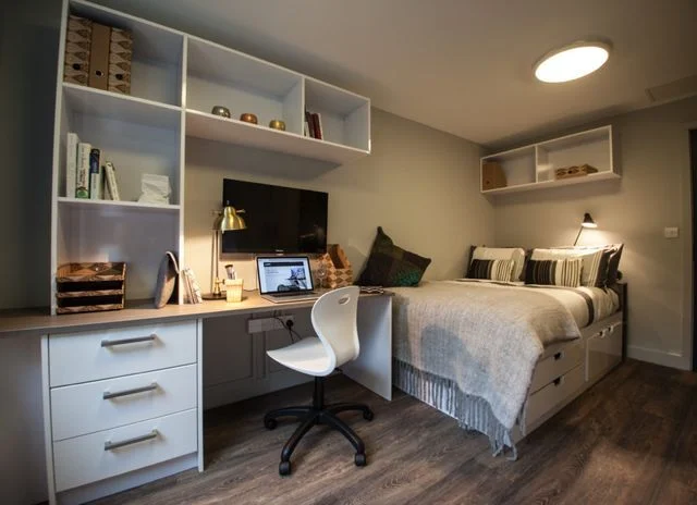 20241206104857 student accommodation halsmere studios london classic studio bed